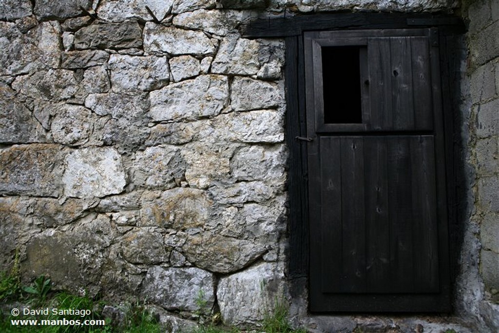 Teyedo
Teyedo - valle del Huerna - asturias
Asturias