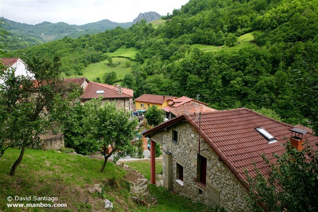 Teyedo
Teyedo - valle del Huerna - asturias
Asturias