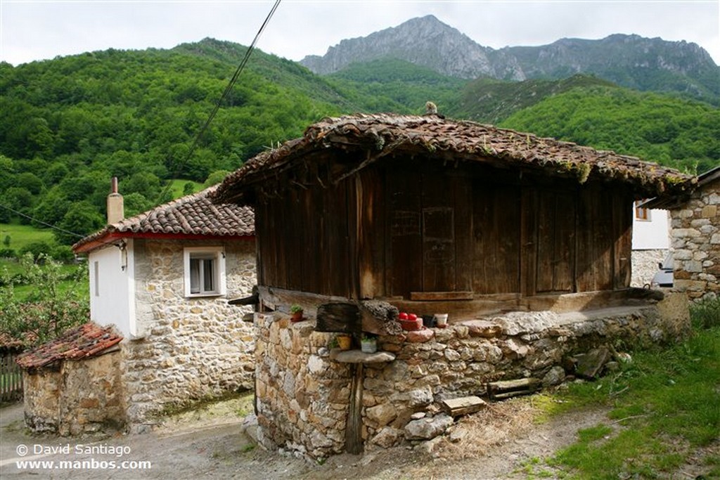 Teyedo
Teyedo - valle del Huerna - asturias
Asturias