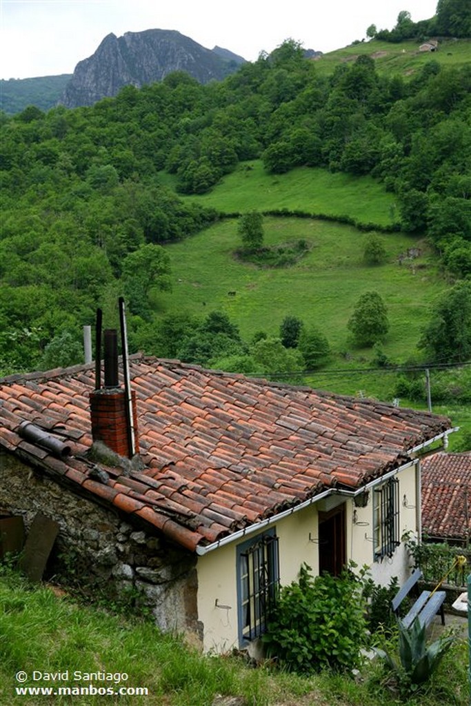 Teyedo
Teyedo - valle del Huerna - asturias
Asturias