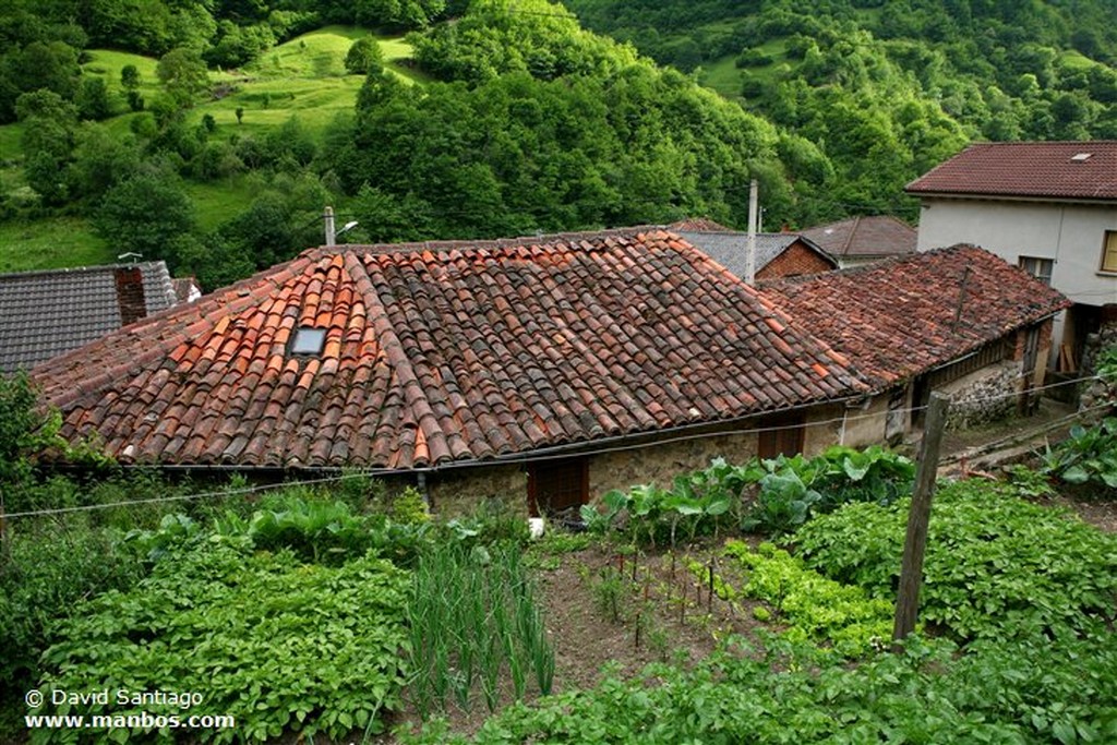 Teyedo
Teyedo - valle del Huerna - asturias
Asturias