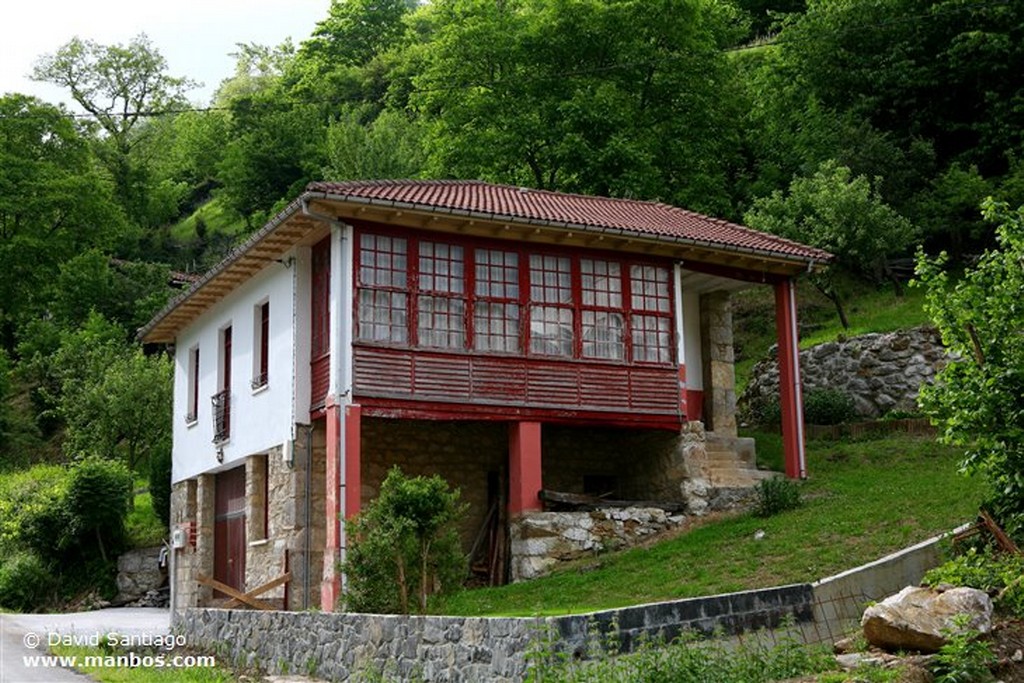 Teyedo
Teyedo - valle del Huerna - asturias
Asturias