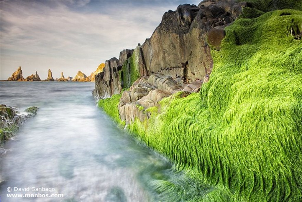 Playa del Silencio
The Beach Of el Silencio  cudillero  asturias  spain
Asturias