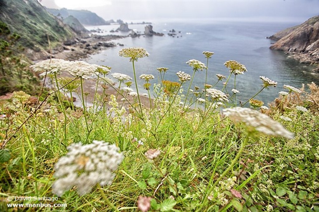 Playa del Silencio
The Beach Of el Silencio  cudillero  asturias  spain
Asturias