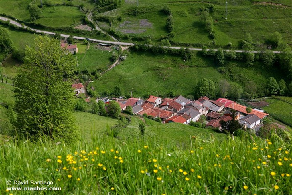 Tuiza de Abajo
Tuiza de Abajo en el Valle de Huerna - asturias
Asturias