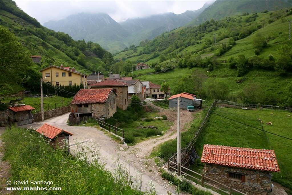 Tuiza de Abajo
Tuiza de Abajo - valle del Huerna - asturias
Asturias