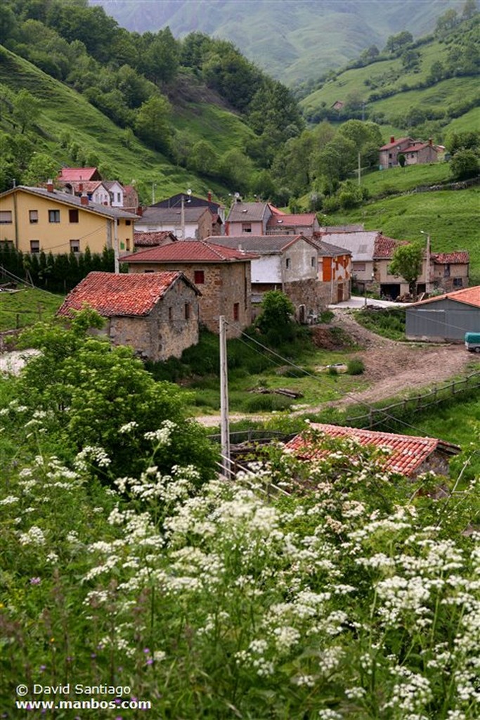 Tuiza de Abajo
Tuiza de Abajo - valle del Huerna - asturias
Asturias