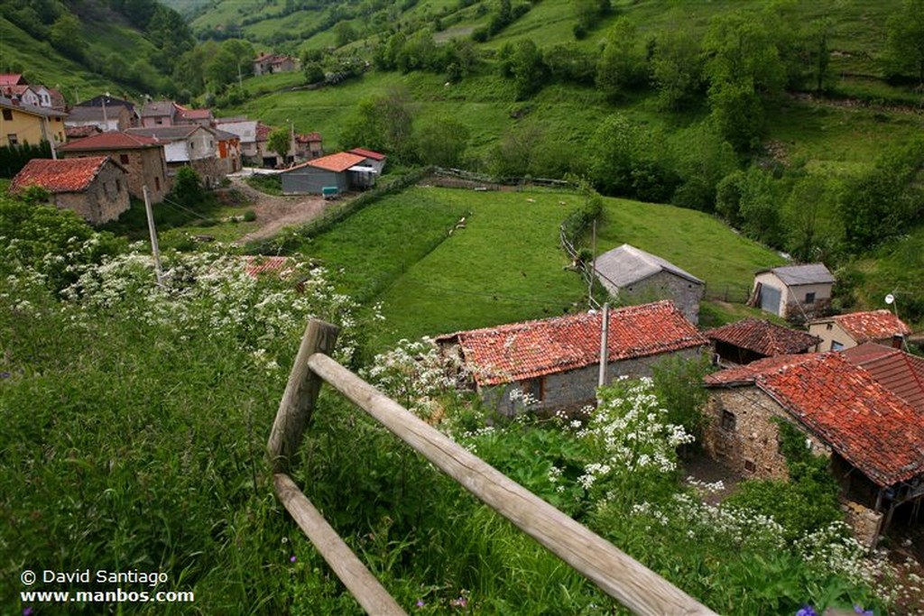 Tuiza de Abajo
Tuiza de Abajo - valle del Huerna - asturias
Asturias