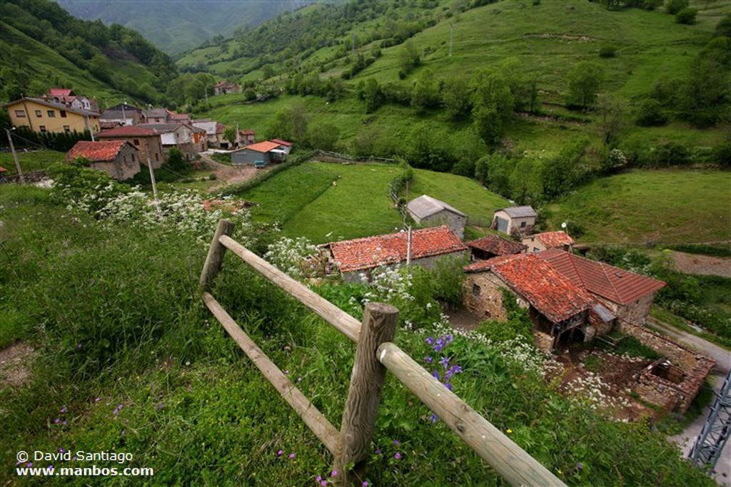 Tuiza de Abajo
Tuiza de Abajo - valle del Huerna - asturias
Asturias