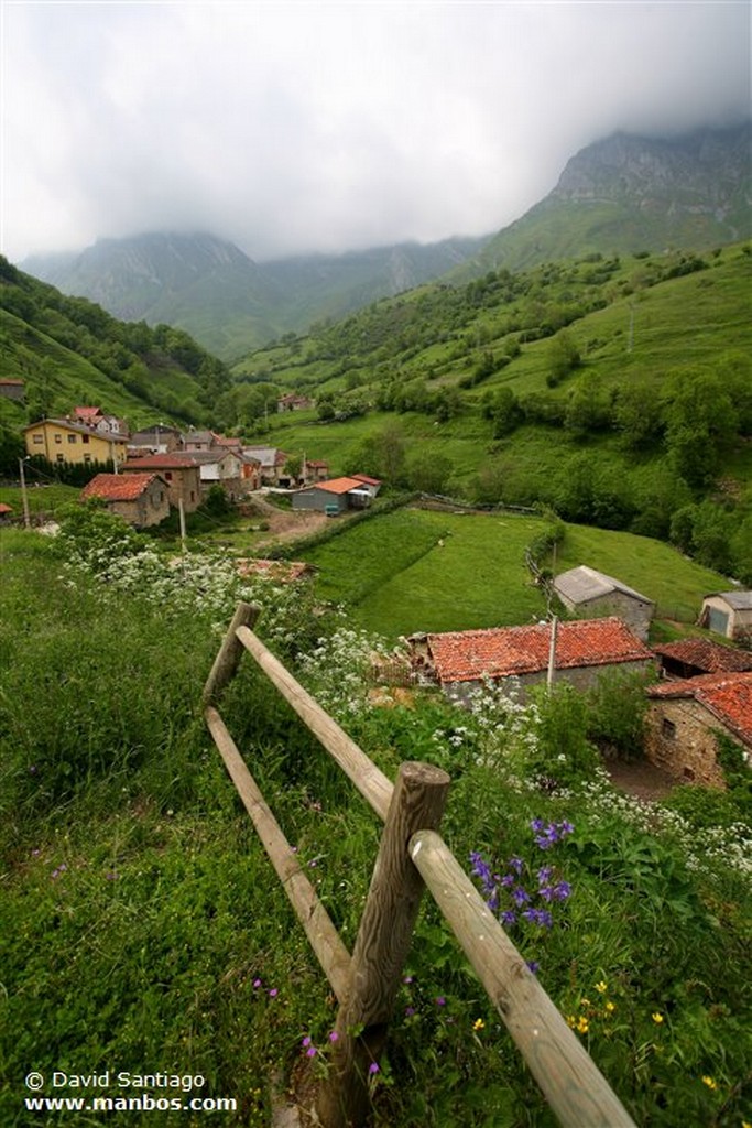 Tuiza de Abajo
Tuiza de Abajo - valle del Huerna - asturias
Asturias