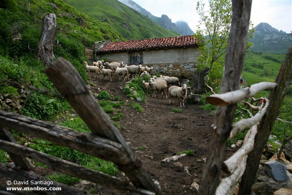 Tuiza de Arriba
Tuiza de Arriba - asturias
Asturias