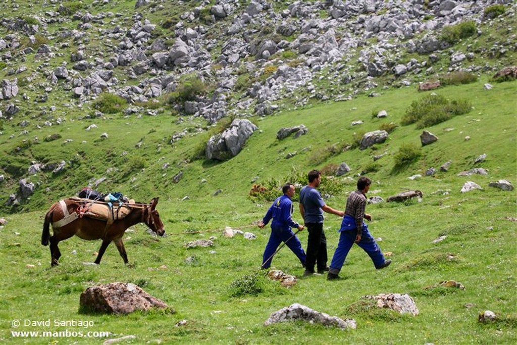 Valle de Cotarrubia
Valle de Cotarrubia - asturias
Asturias