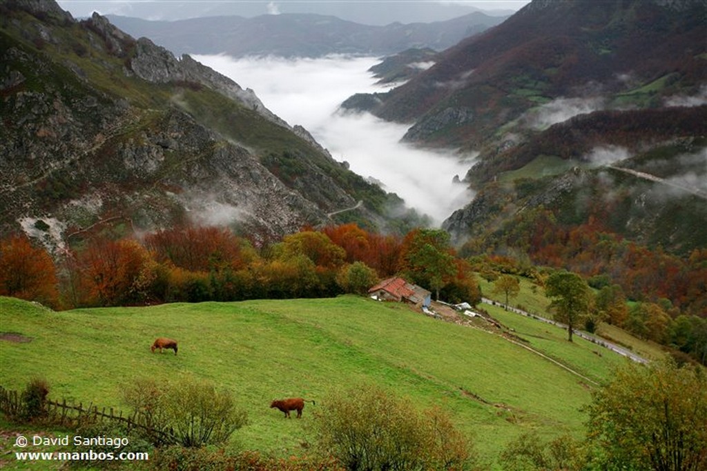 Valle de Huerna
Valle de Huerna - asturias
Asturias