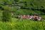 Tuiza de Abajo
Tuiza de Abajo en el Valle de Huerna - asturias
Asturias