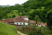 Teyedo, Teyedo, España