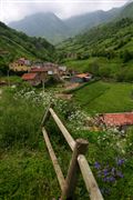 Camara Canon Eos 5D
Tuiza de Abajo - valle del Huerna - asturias
Asturias
TUIZA DE ABAJO
Foto: 31682