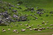 Valle de Cotarrubia, Valle de Cotarrubia, España