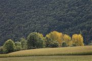 Hauter Pyrenees, Hauter Pyrenees, Francia