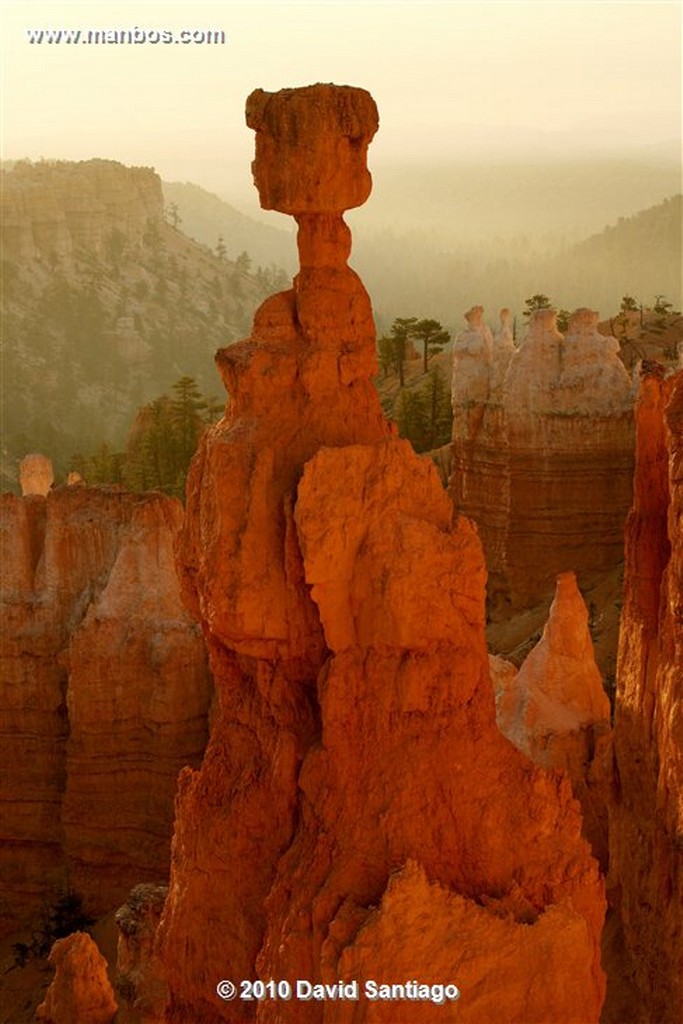 Bryce Canyon 
Bryce Canyon National Park Eeuu 
Utah 