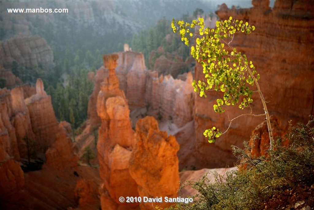 Bryce Canyon 
Bryce Canyon National Park Eeuu 
Utah 