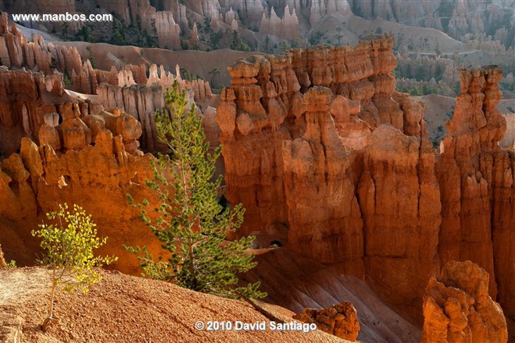 Bryce Canyon 
Bryce Canyon National Park Eeuu 
Utah 