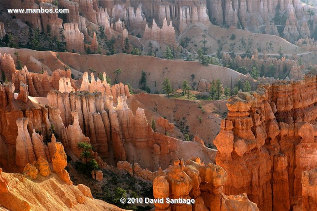 Bryce Canyon 
Bryce Canyon National Park Eeuu 
Utah 