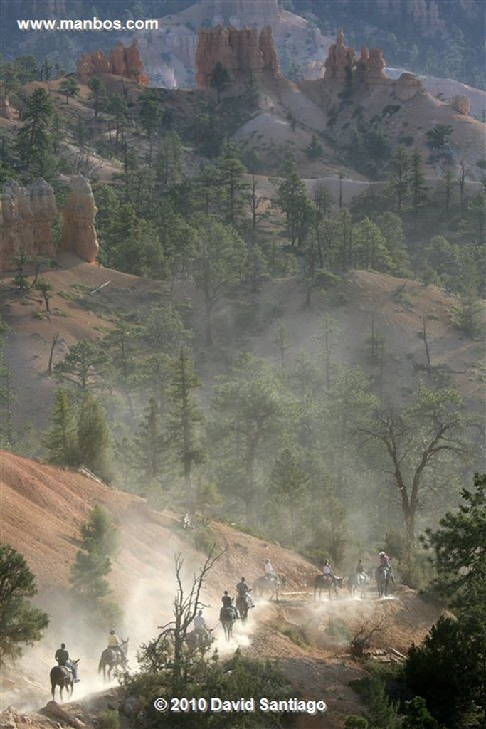 Bryce Canyon 
Bryce Canyon National Park Eeuu 
Utah 