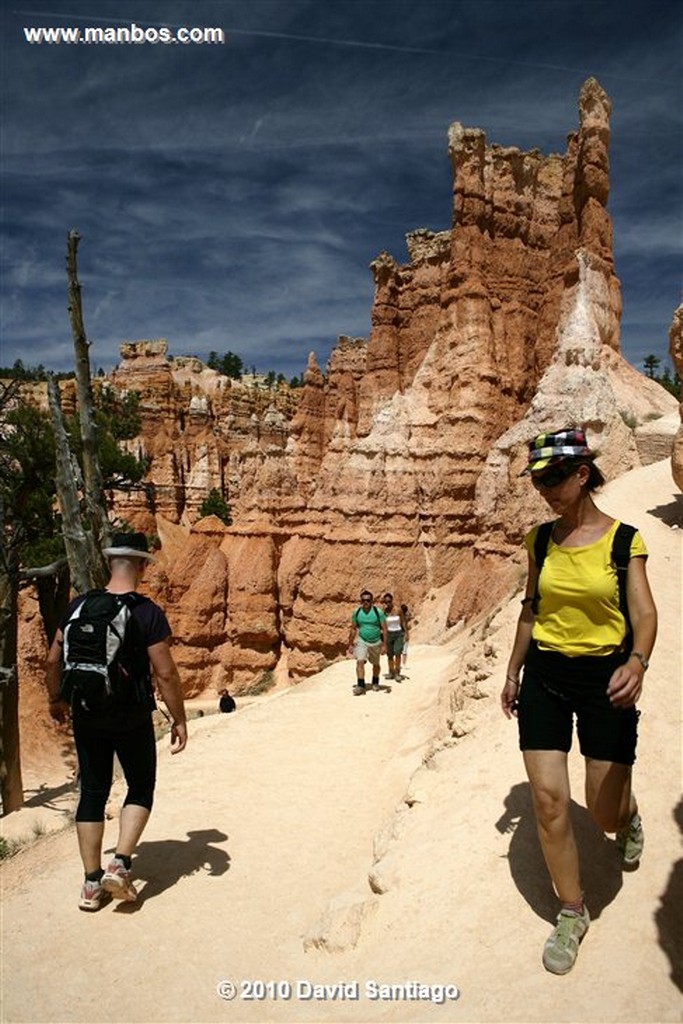 Bryce Canyon 
Bryce Canyon National Park Eeuu 
Utah 