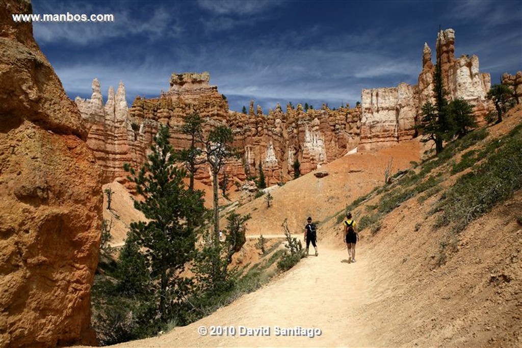 Bryce Canyon 
Bryce Canyon National Park Eeuu 
Utah 