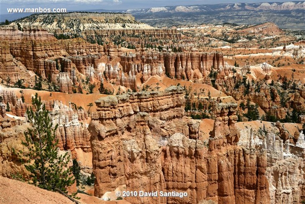 Bryce Canyon 
Bryce Canyon National Park Eeuu 
Utah 