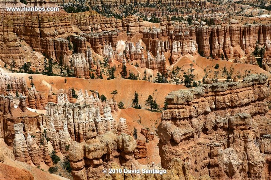 Bryce Canyon 
Bryce Canyon National Park Eeuu 
Utah 