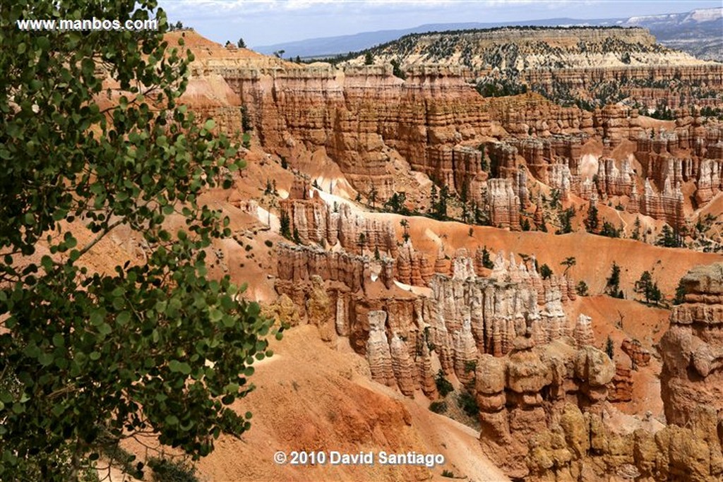 Bryce Canyon 
Bryce Canyon National Park Eeuu 
Utah 