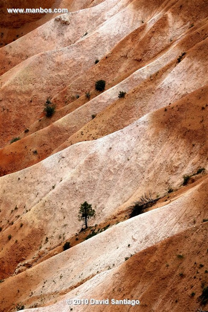 Bryce Canyon 
Bryce Canyon National Park Eeuu 
Utah 