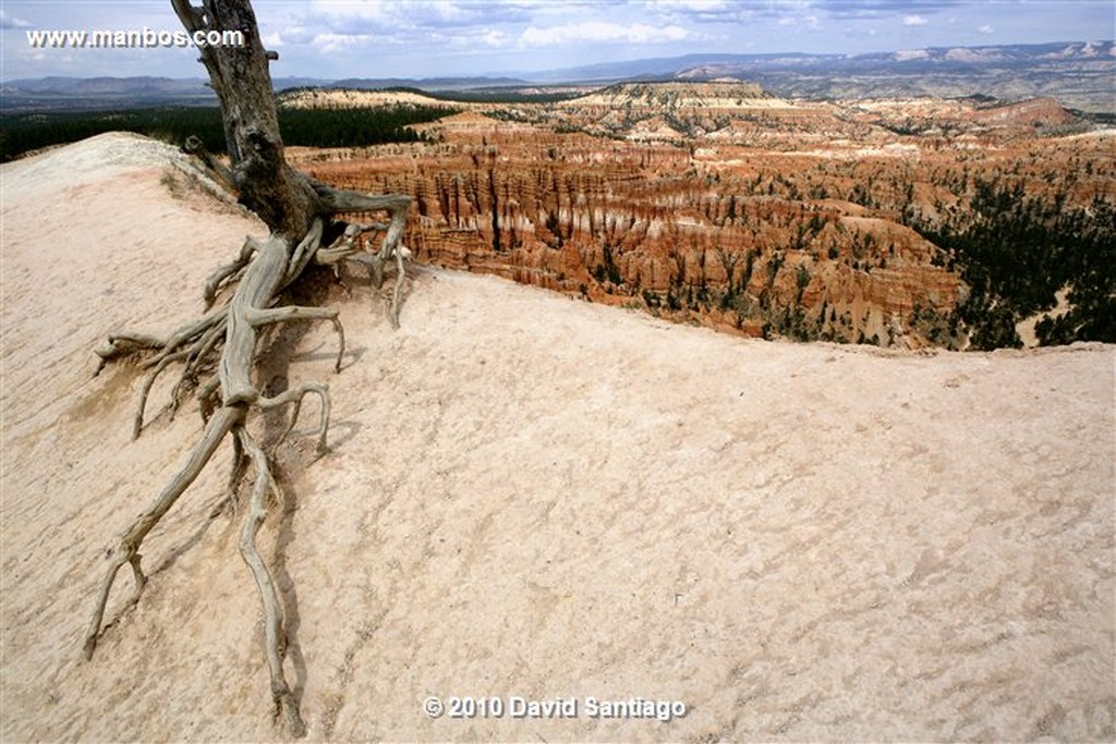 Bryce Canyon 
Bryce Canyon National Park Eeuu 
Utah 