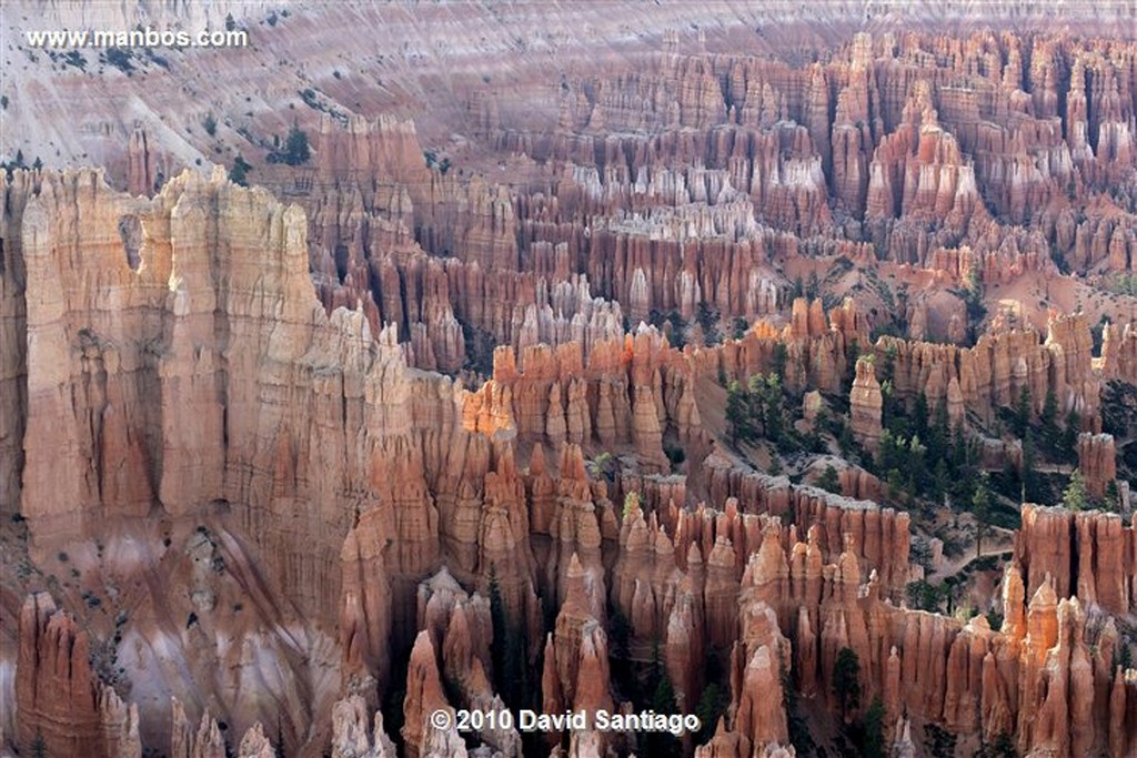 Bryce Canyon 
Bryce Canyon National Park Eeuu 
Utah 