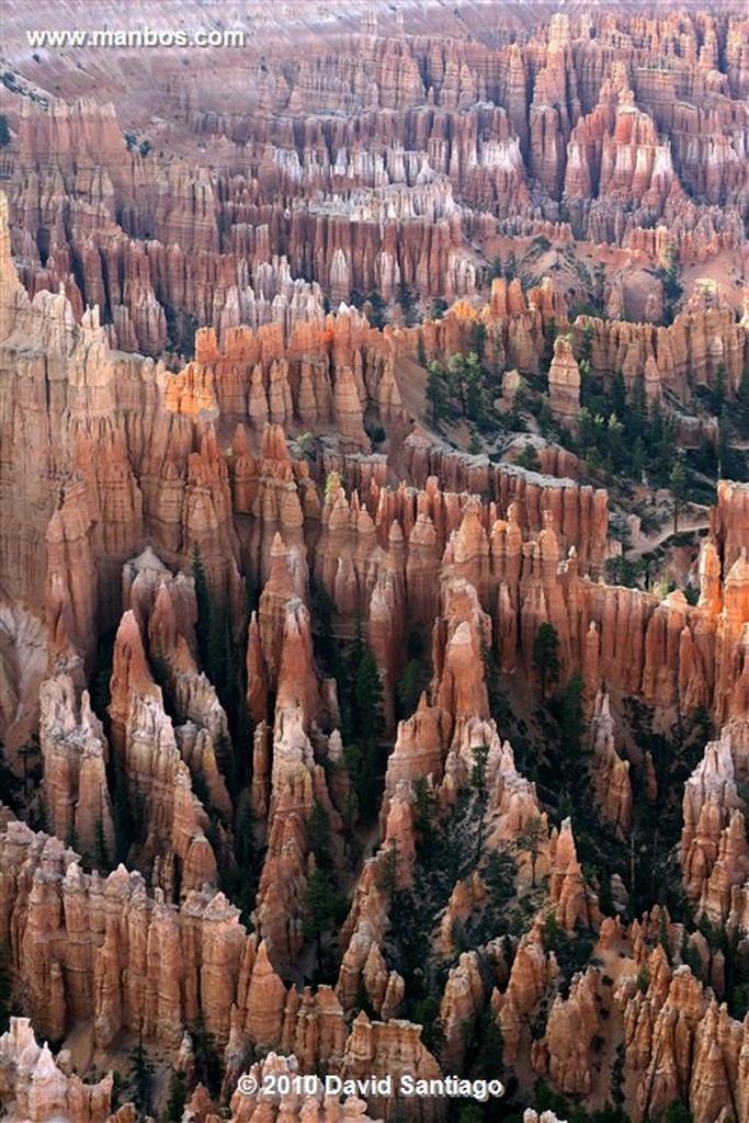 Bryce Canyon 
Bryce Canyon National Park Eeuu 
Utah 