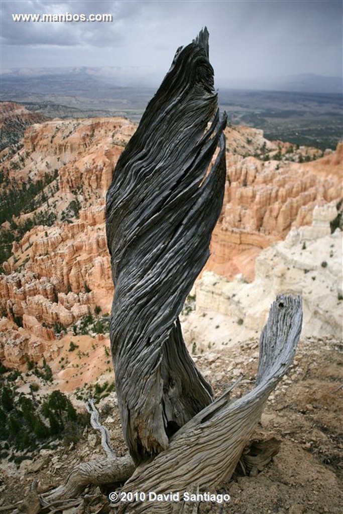 Bryce Canyon 
Bryce Canyon National Park Eeuu 
Utah 