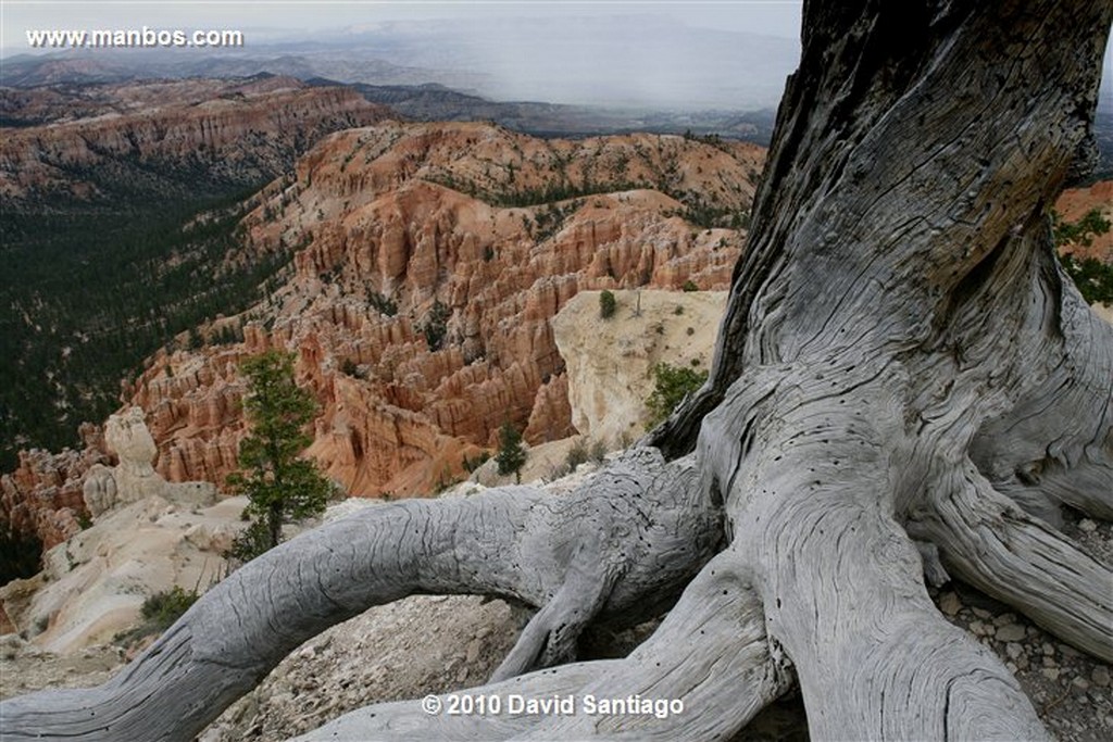 Bryce Canyon 
Bryce Canyon National Park Eeuu 
Utah 