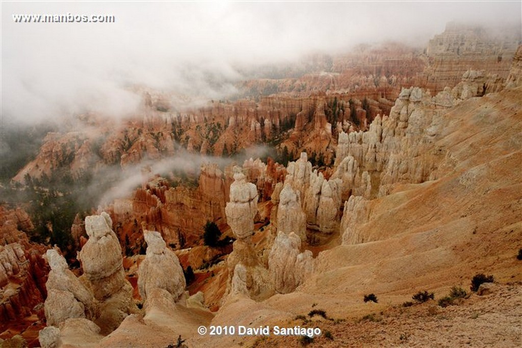 Bryce Canyon 
Bryce Canyon National Park Eeuu 
Utah 