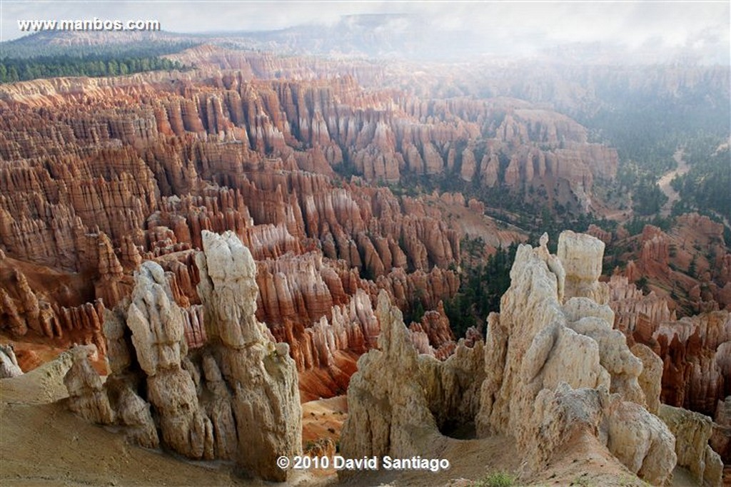 Bryce Canyon 
Bryce Canyon National Park Eeuu 
Utah 