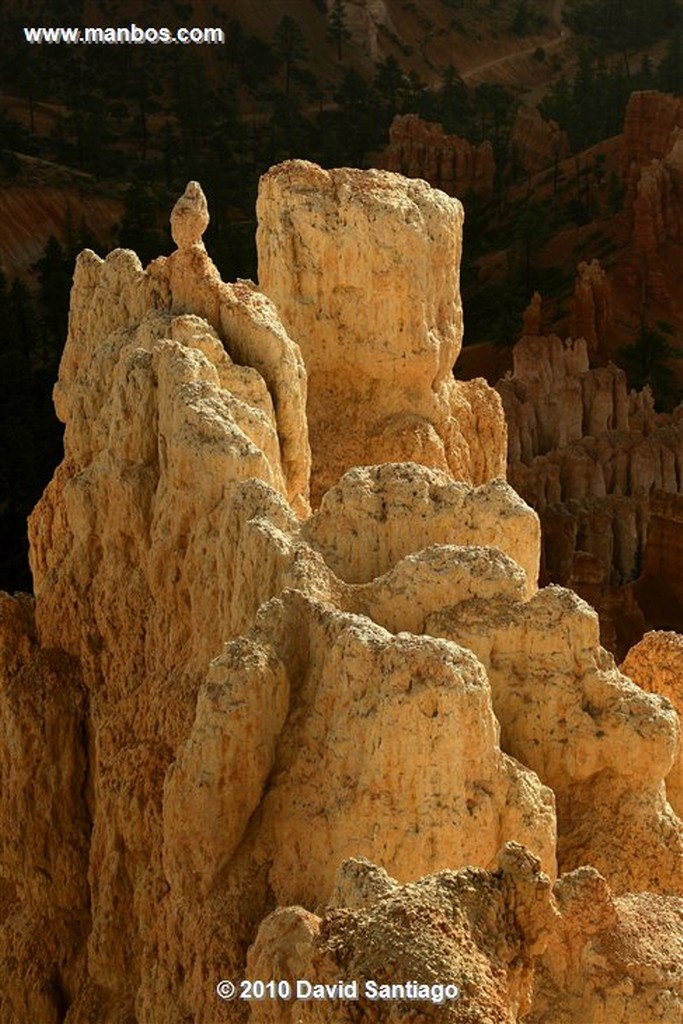 Bryce Canyon 
Bryce Canyon National Park Eeuu 
Utah 