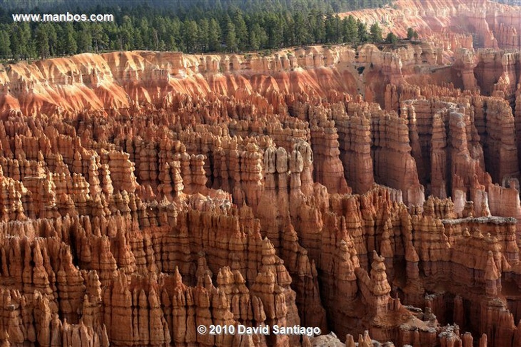 Bryce Canyon 
Bryce Canyon National Park Eeuu 
Utah 