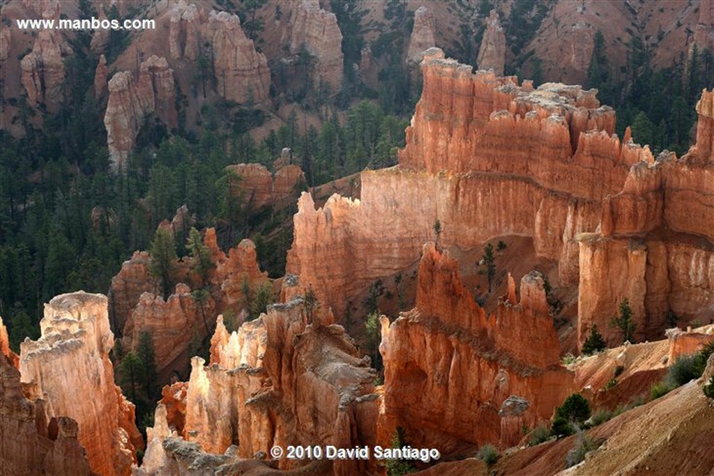 Bryce Canyon 
Bryce Canyon National Park Eeuu 
Utah 