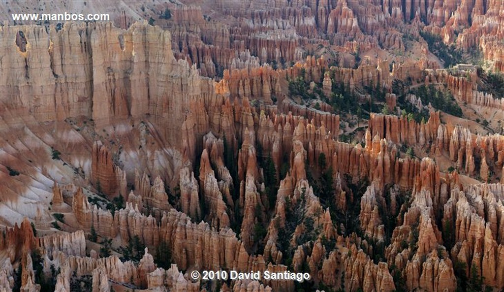 Bryce Canyon 
Bryce Canyon National Park Eeuu 
Utah 