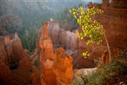 Bryce Canyon , Bryce Canyon , Estados Unidos 