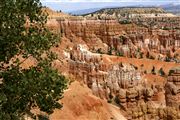 Bryce Canyon , Bryce Canyon , Estados Unidos 