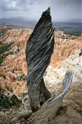 Bryce Canyon , Bryce Canyon , Estados Unidos 