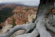 Bryce Canyon , Bryce Canyon , Estados Unidos 