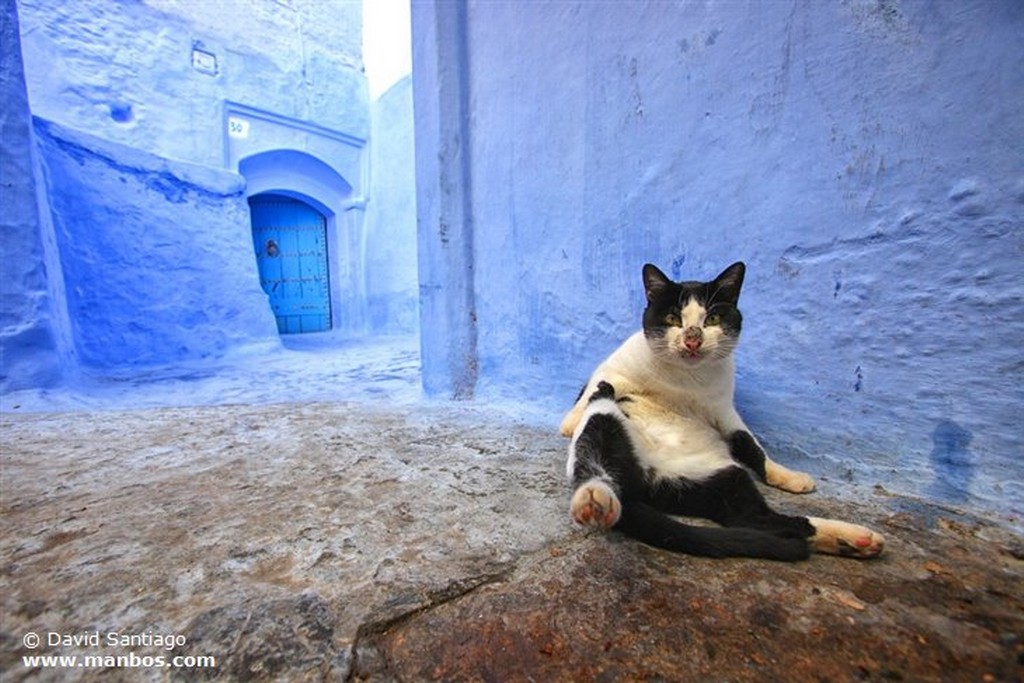 Chaouen
Chaouen
Chaouen