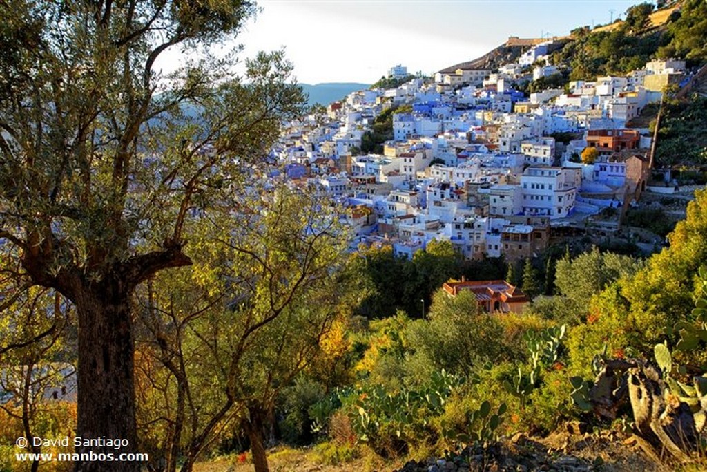 Chaouen
Chaouen
Chaouen